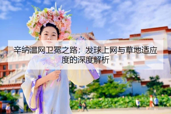 xin-na-wen-wang-wei-mian-zhi-lu-fa-qiu-shang-wang-yu-cao-di-shi-ying-du-de-shen-du-jie-xi-2-627.jpg