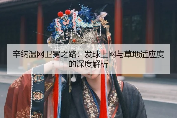 xin-na-wen-wang-wei-mian-zhi-lu-fa-qiu-shang-wang-yu-cao-di-shi-ying-du-de-shen-du-jie-xi-3-236.jpg