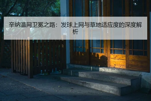 辛纳温网卫冕之路：发球上网与草地适应度的深度解析
