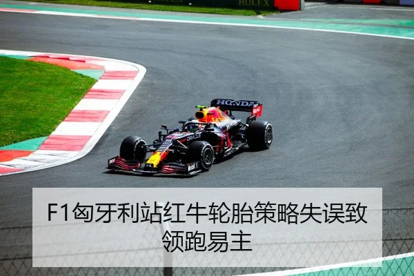 F1匈牙利站红牛轮胎策略失误致领跑易主